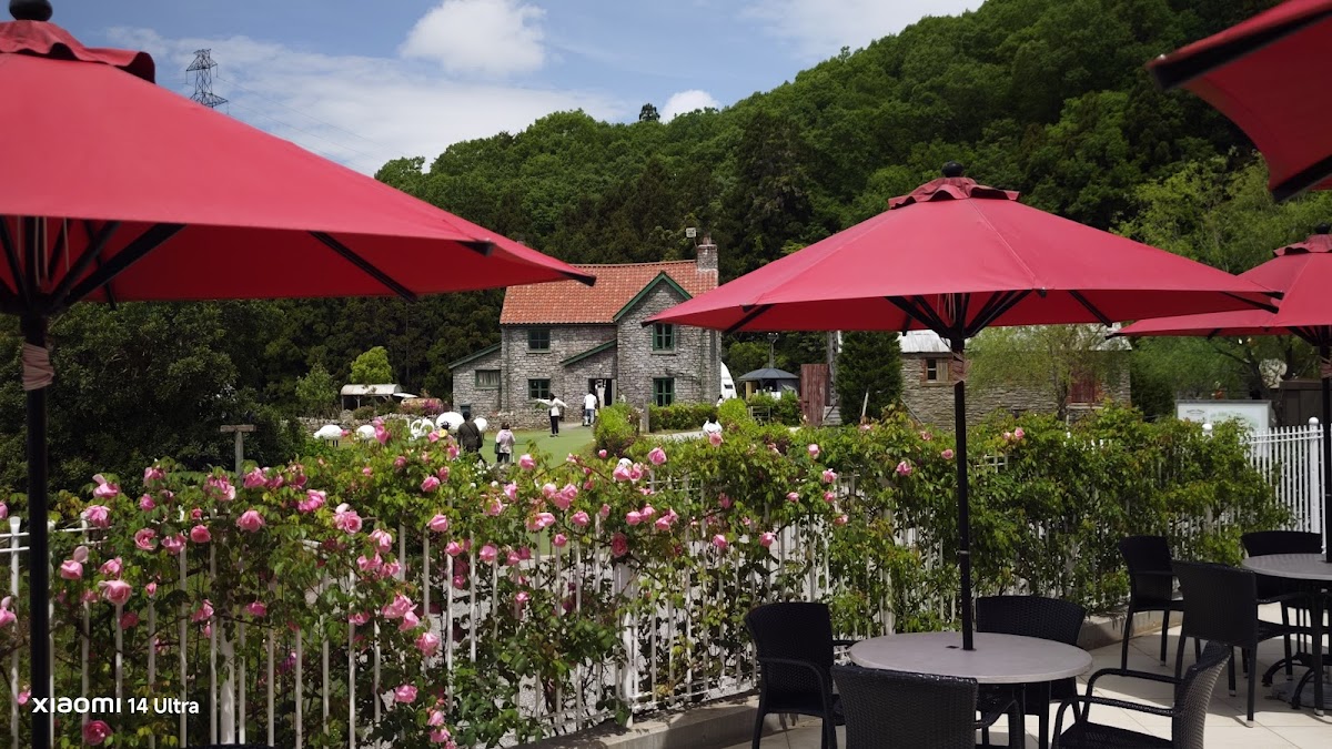 Hillside Cafe TEAROOM