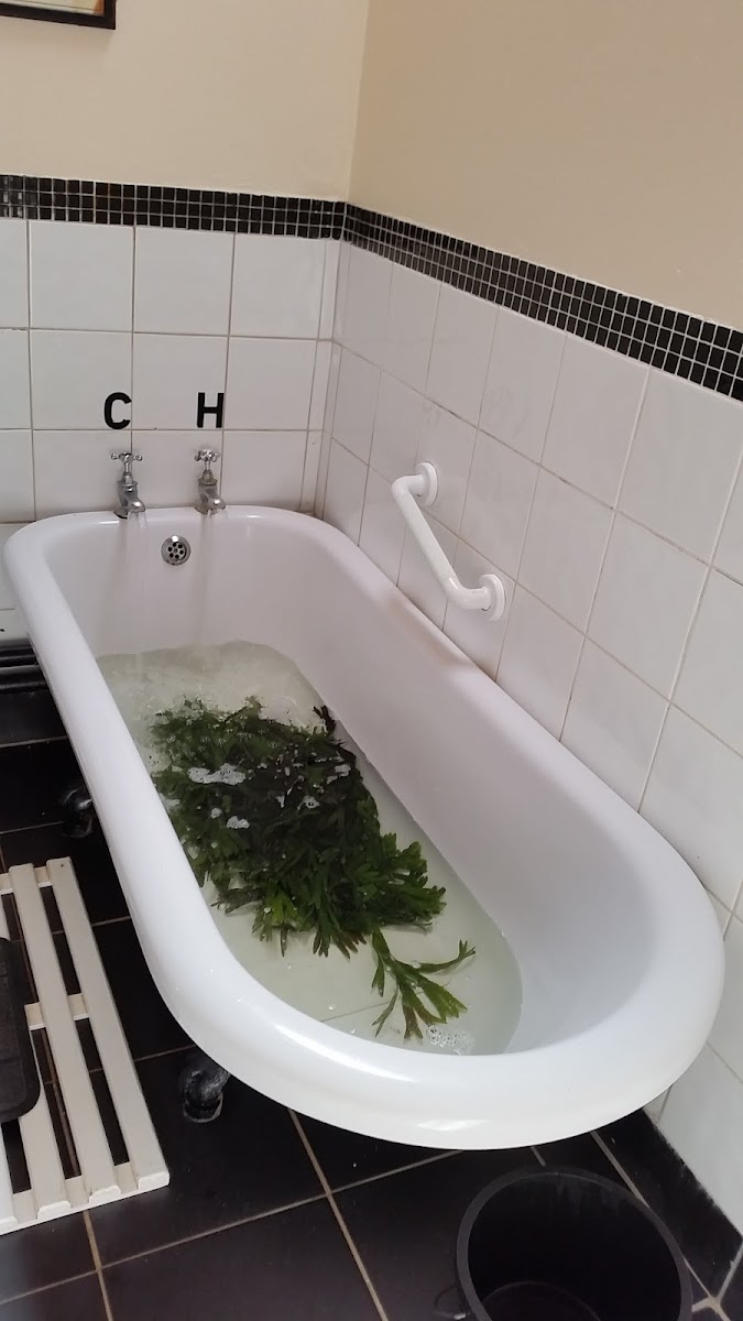 Collins' Beach Cafe and Seaweed Baths - 4