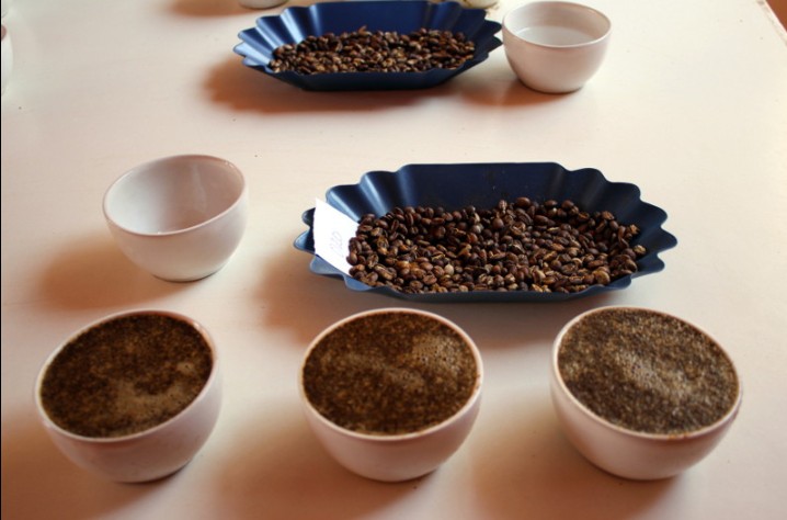 Latte Que Latte Cafe Gourmet - 9