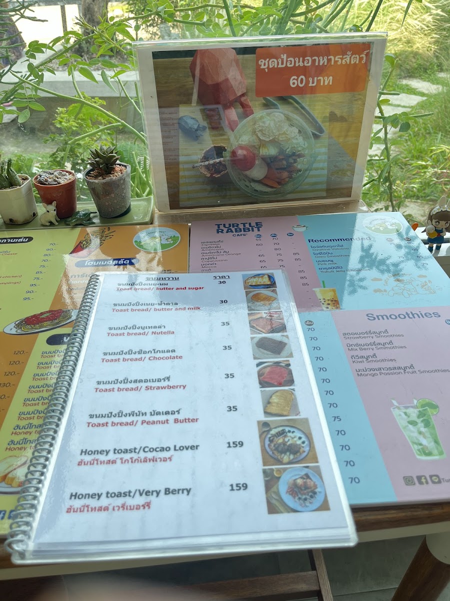 Turtle Rabbit Cafe - 2