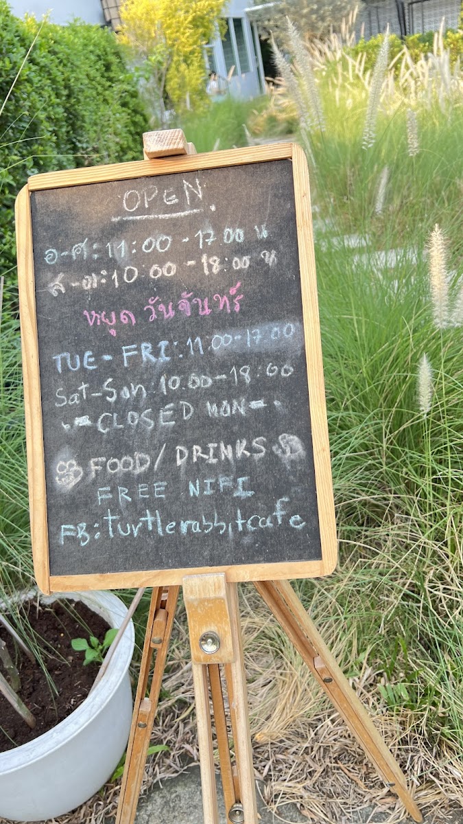 Turtle Rabbit Cafe - 6