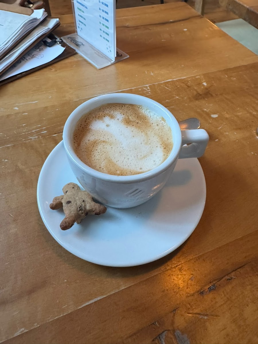 Café Chillkröte - 4