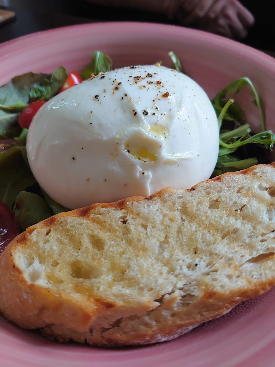 Café Chillkröte - 6