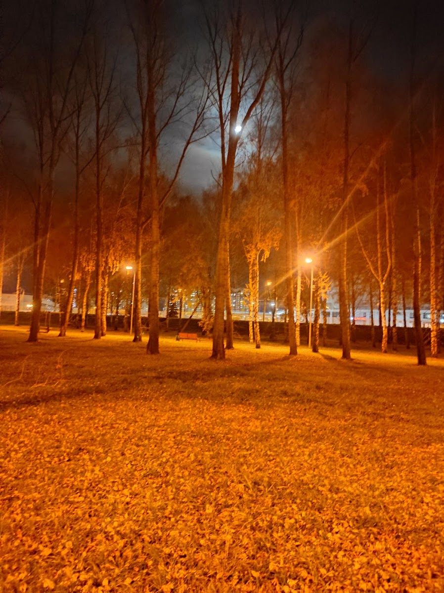 Eko Park Na Mokhovoy - 3