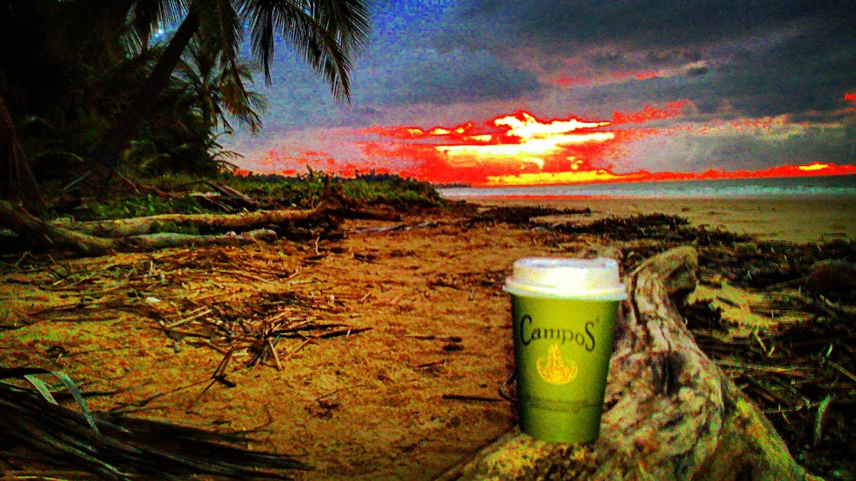 Joey's Mission Beach - 2