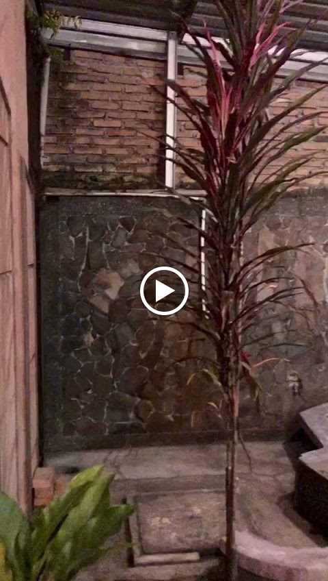 BANDREK TITO CAFE (Jahe Merah) FOOD & DRINK - 2