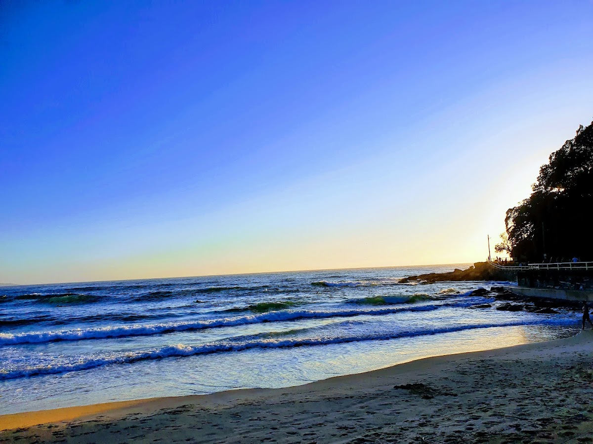 Manly Point Cafe - 3