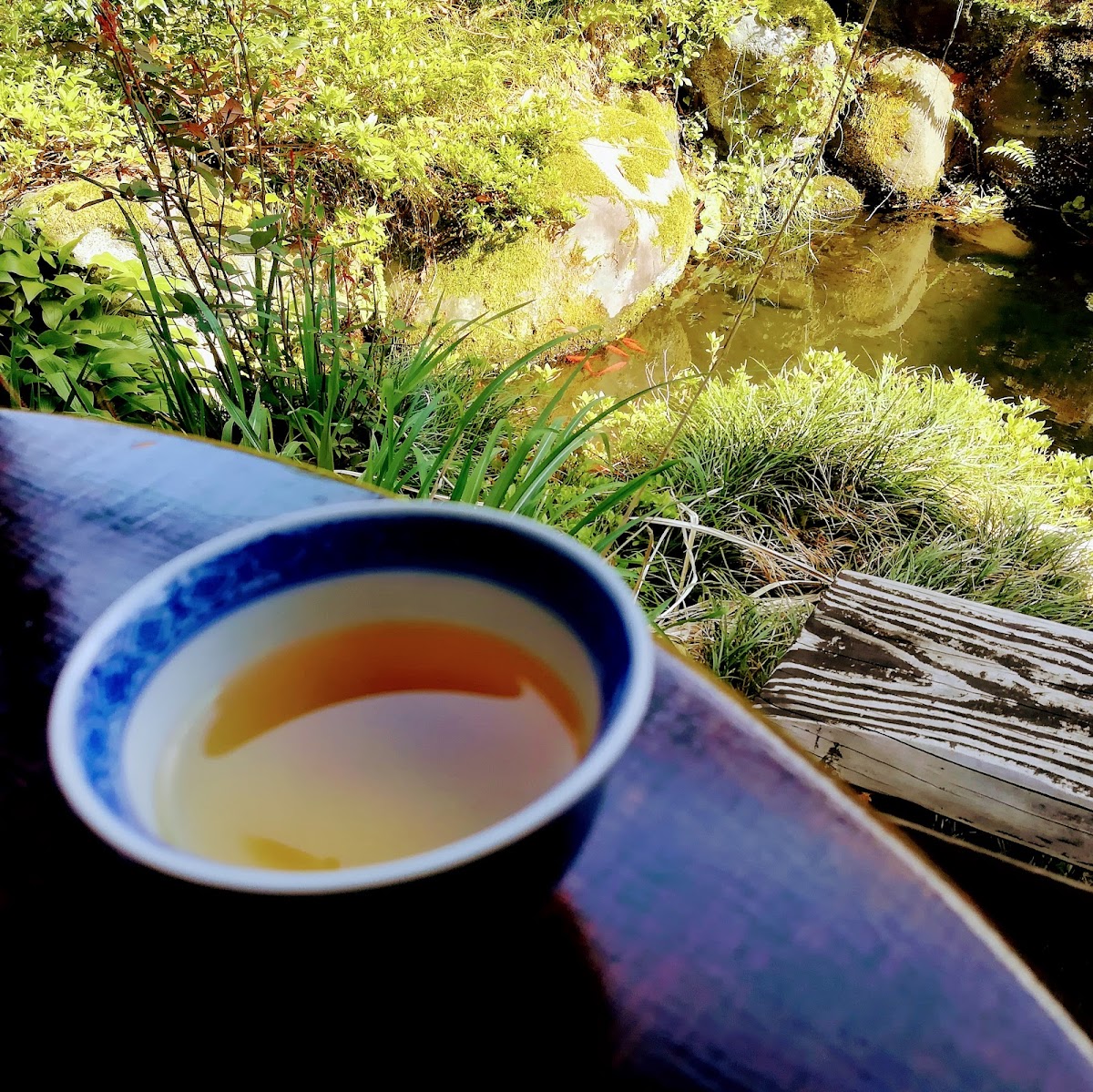 越中八尾ベースOYATSU - 4