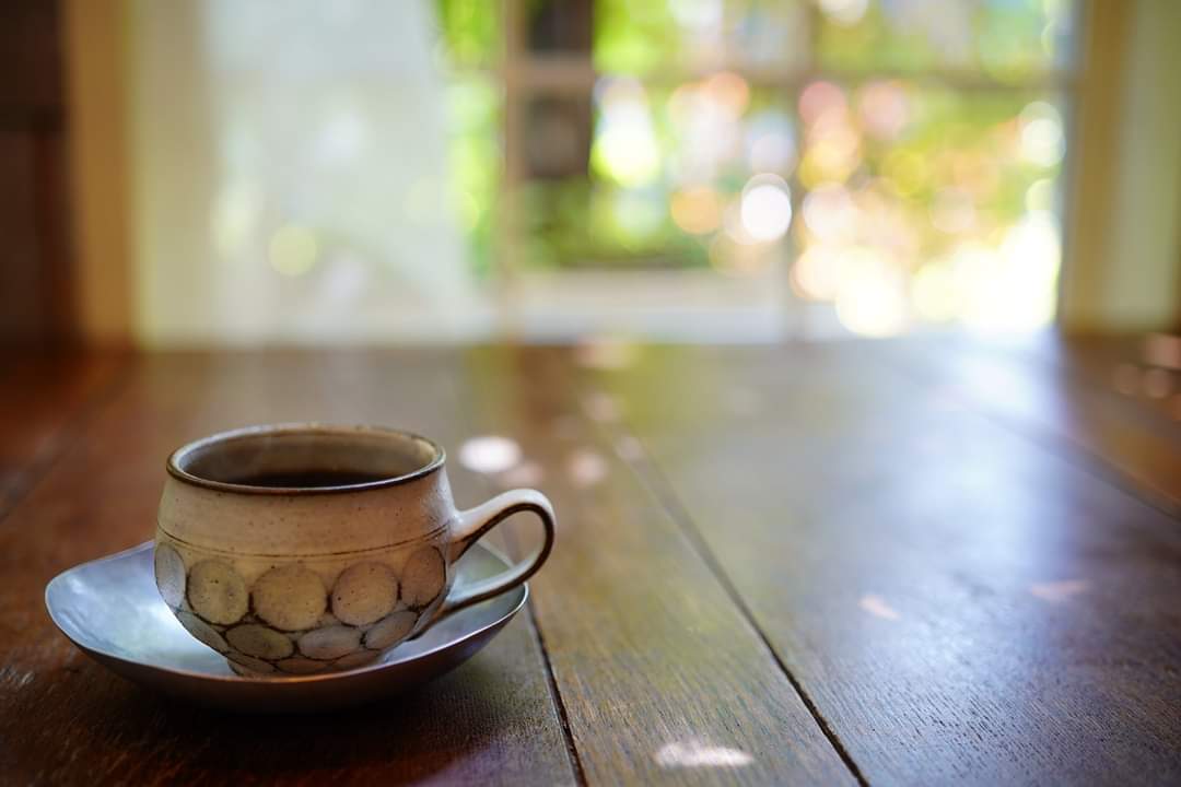 Flower Green & Cafe Parsli - 5