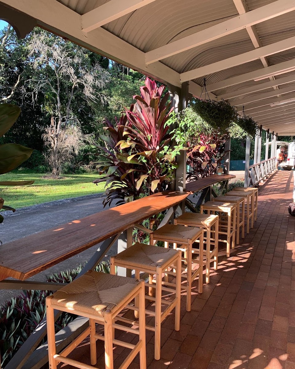 Kismet Tonic & Espresso