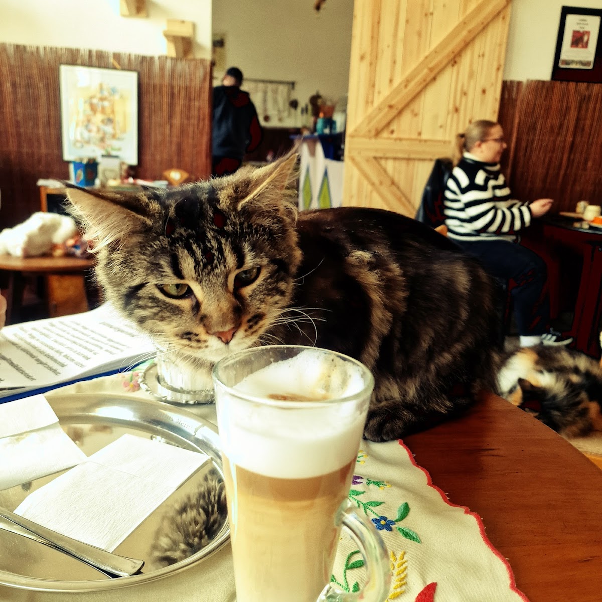 Iza Macskás Kávézója - 4