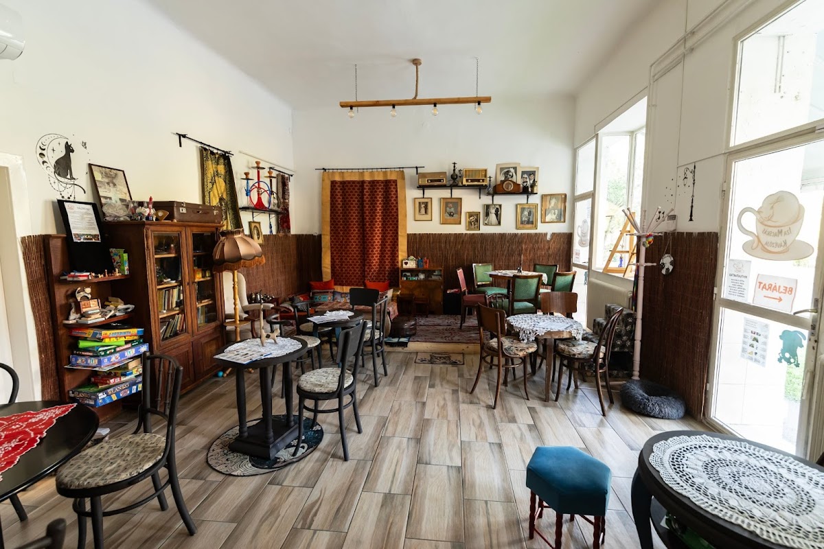 Iza Macskás Kávézója - 7