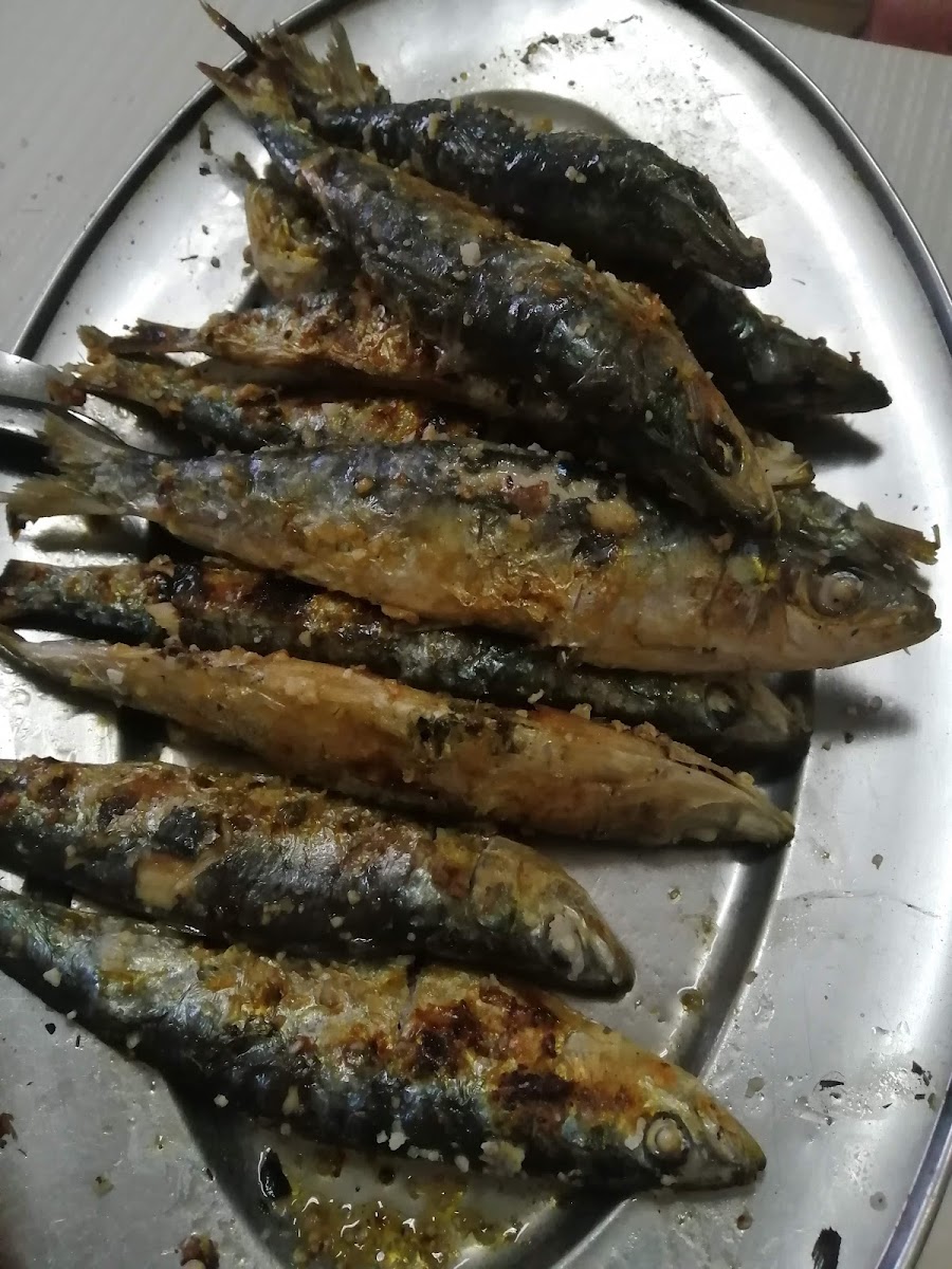 Café Amoreirense - 2