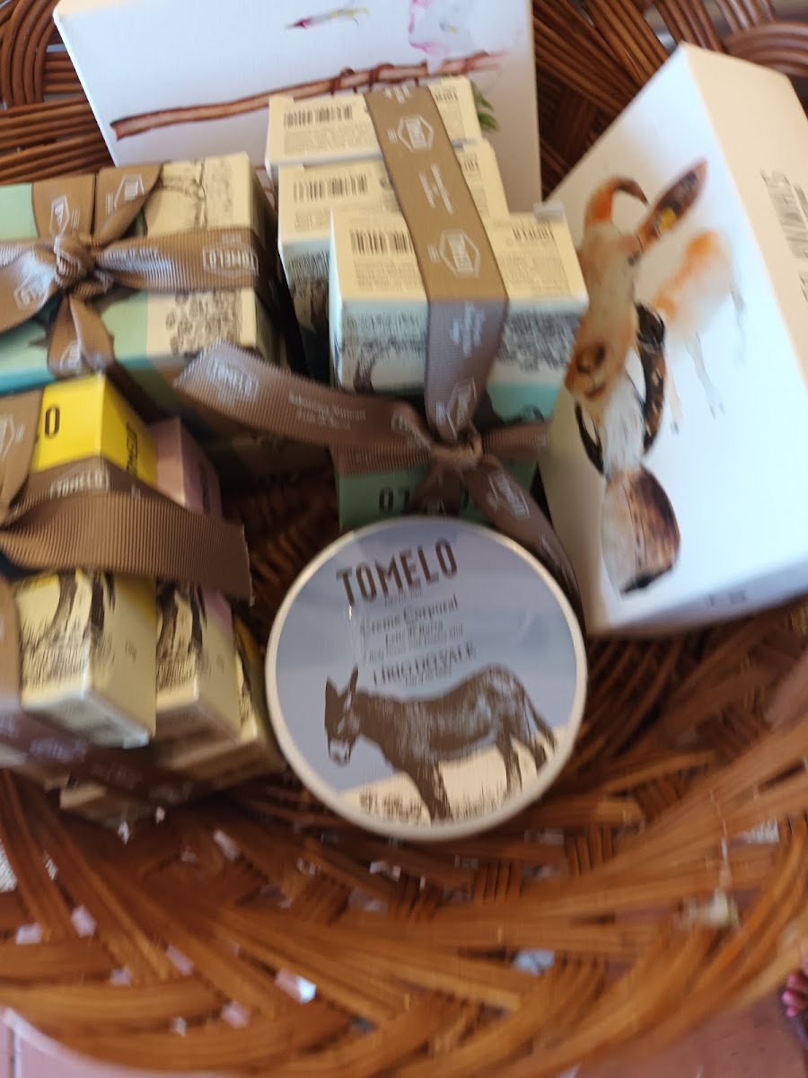 Sports Bar Montijo - REST - 9