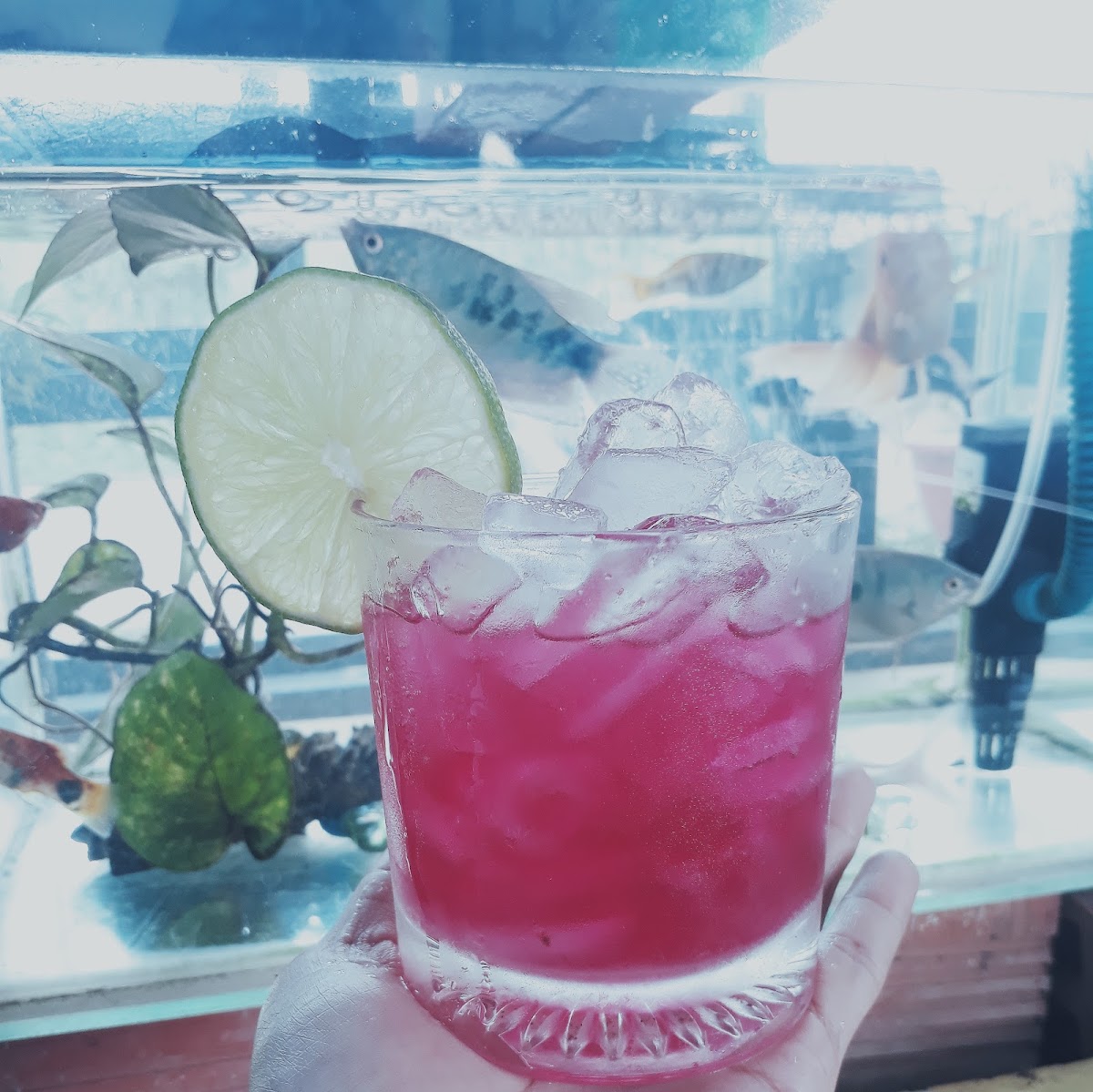 Cafe Du Nguyên - 2