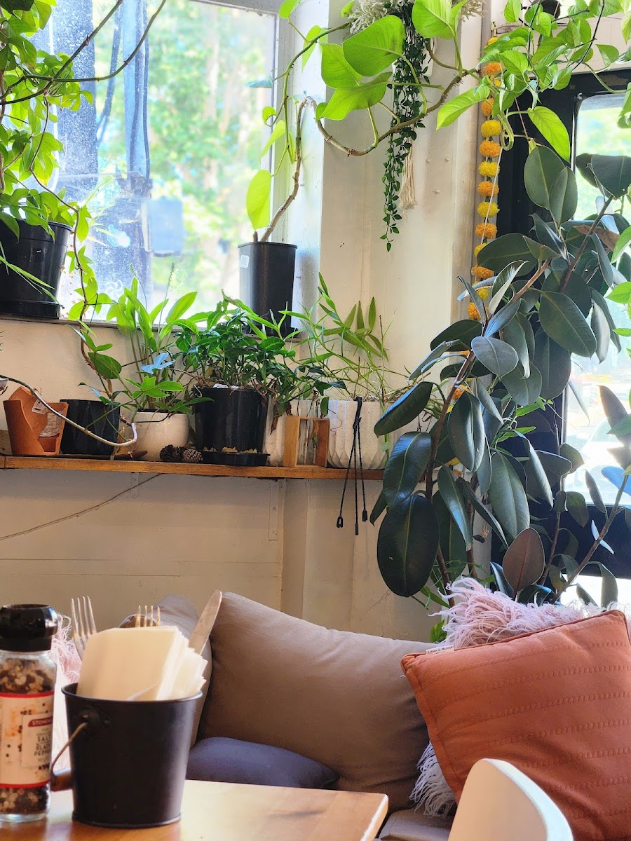 The Foliage Cafe - 3