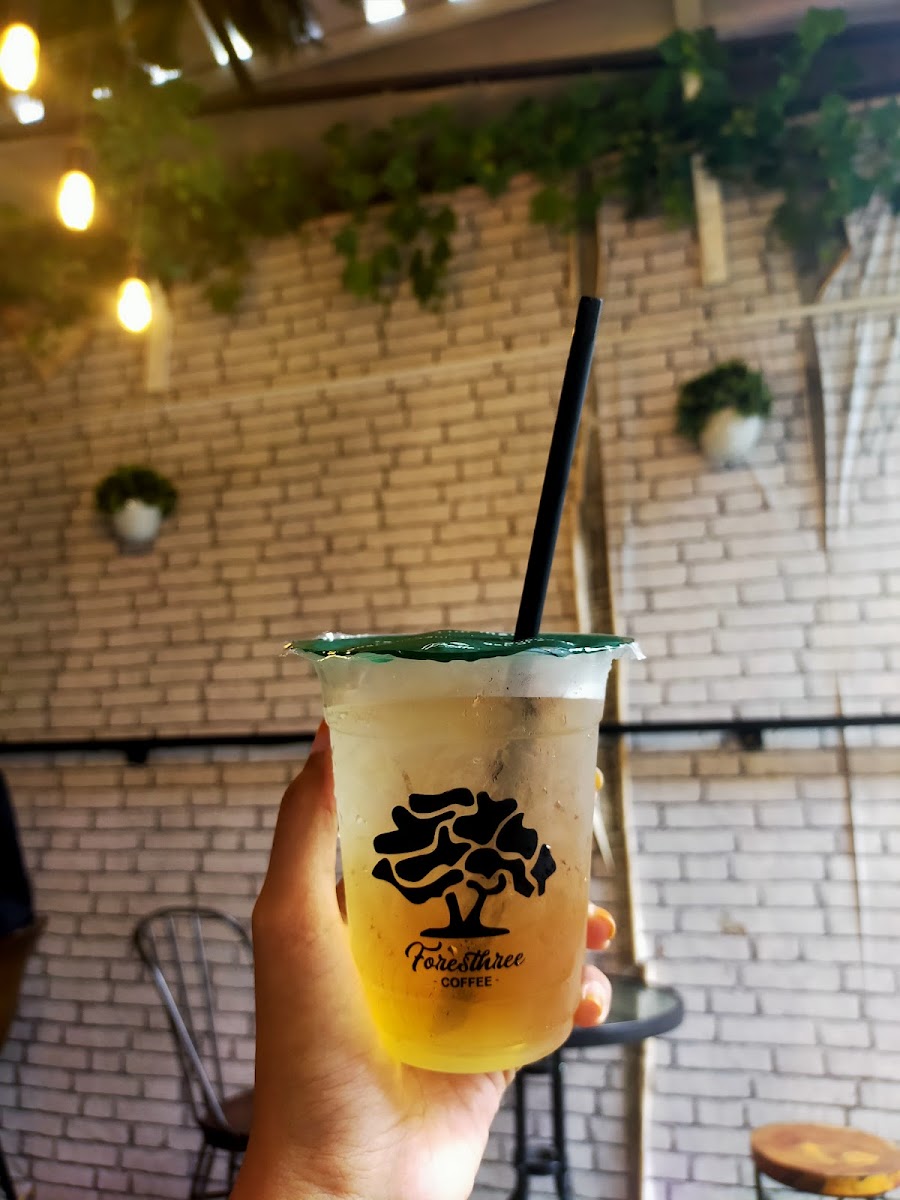 Foresthree Coffee Telanaipura - 9