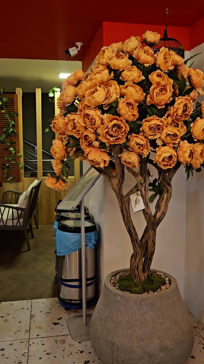 Rooibos Cafe & Bistro - 2