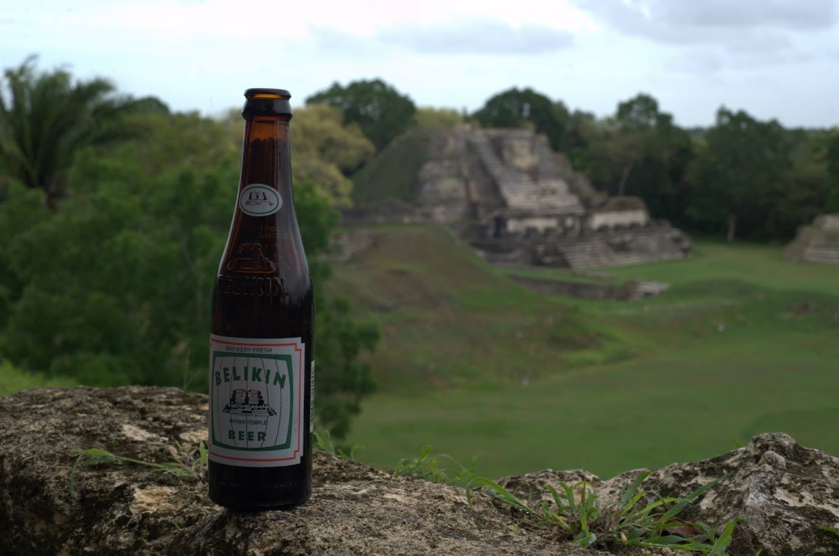 Jungle Lab Cafe - 10