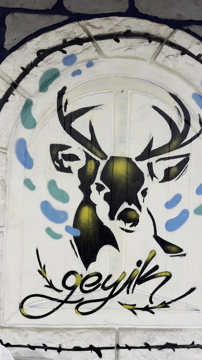 Geyik Nargile Cafe - 2