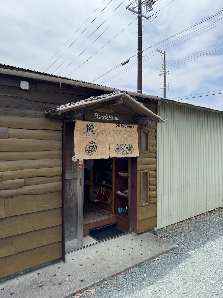 Coffee BlackBird - 4