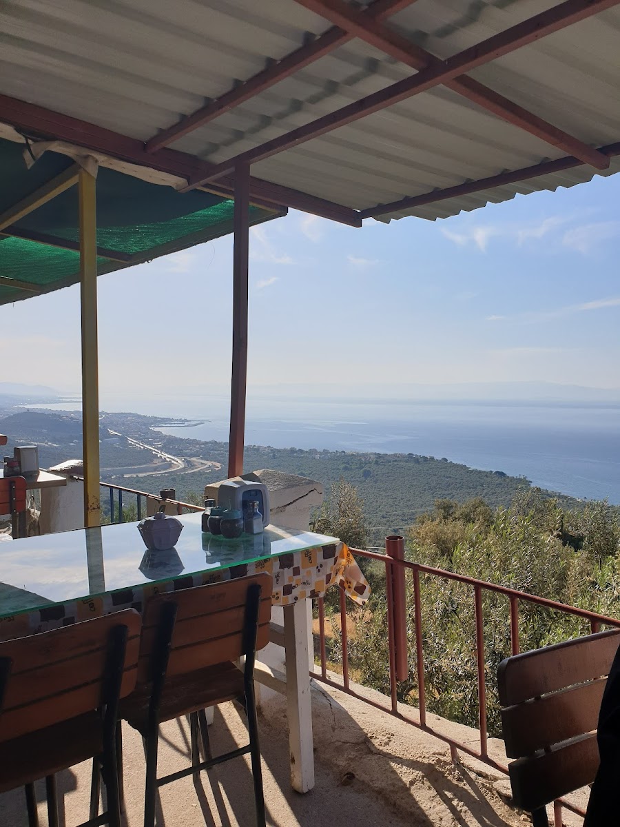 Ida Tourist Tea Garden