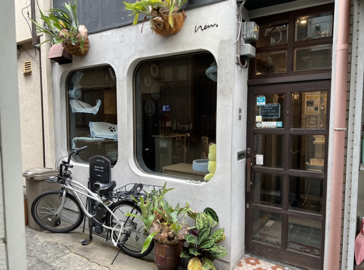 shelter cat ＆ VEGAN café “neu”