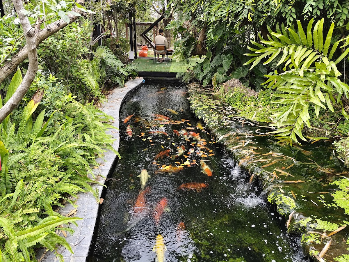 Café Amazon เพชรเกษม กม.62 - 4