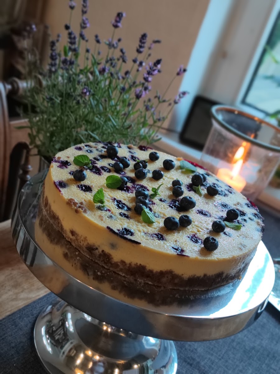 Klönstuv Ribnitz-Damgarten - 5