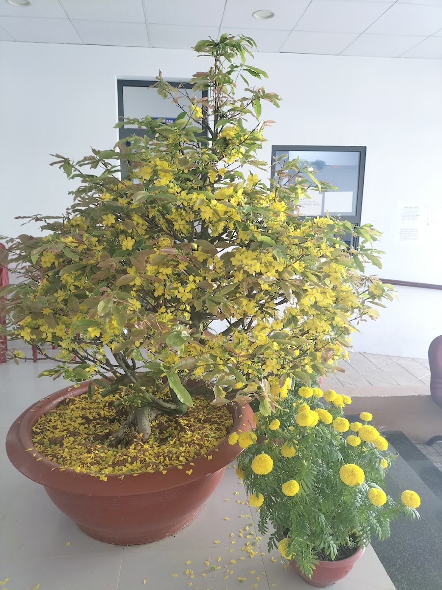 Coffee Nguyễn Anh - 3