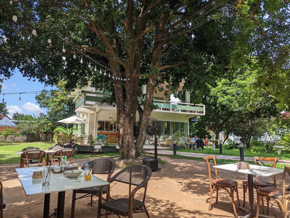 Naked Espresso Garden