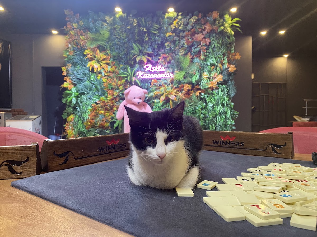 Winners Cafe & Oyun Salonu - 3