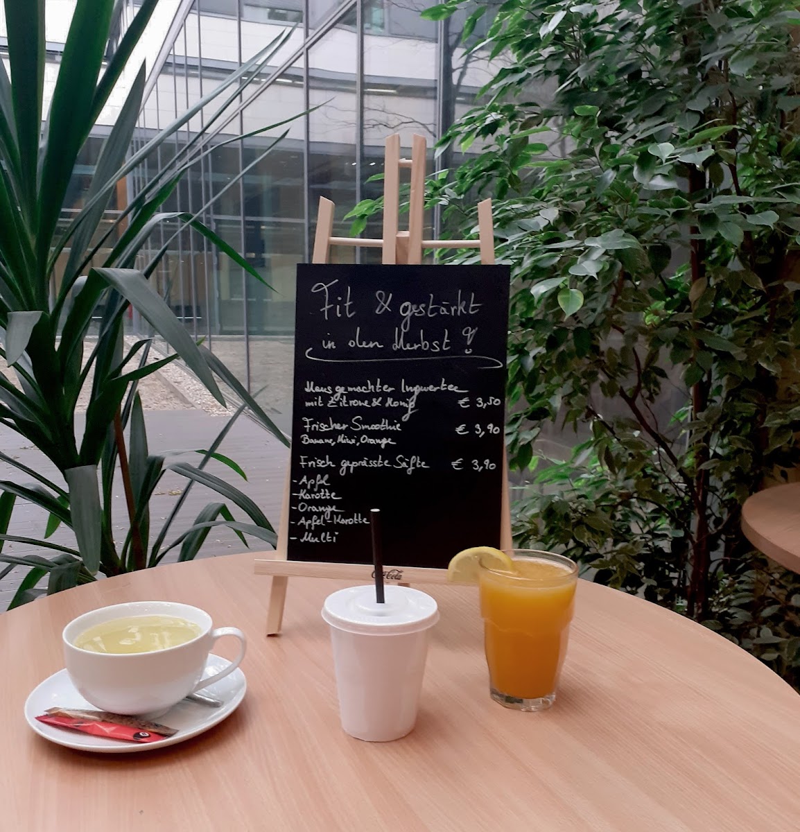 Cafe Medikuss (MZA Lounge) - 1