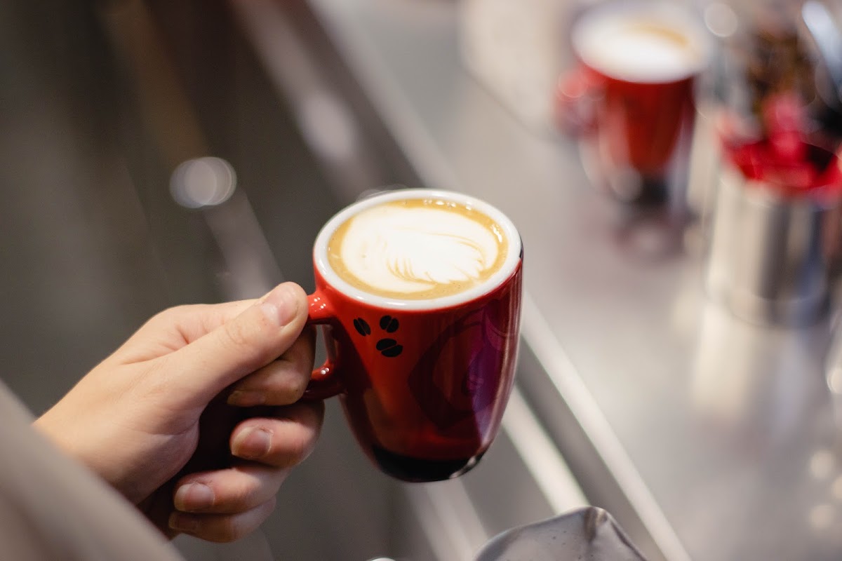 Cafe Medikuss (MZA Lounge) - 4