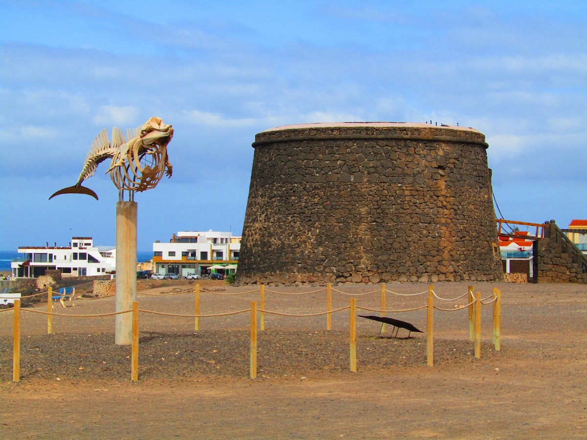 Bar Terraza Plaza La Paz