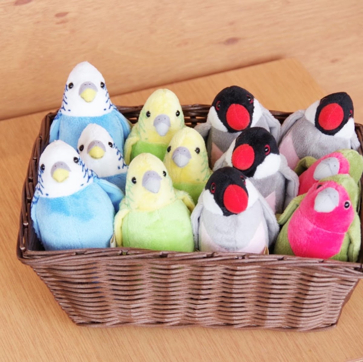 Moff animal cafe Odawara Dynacity - 3