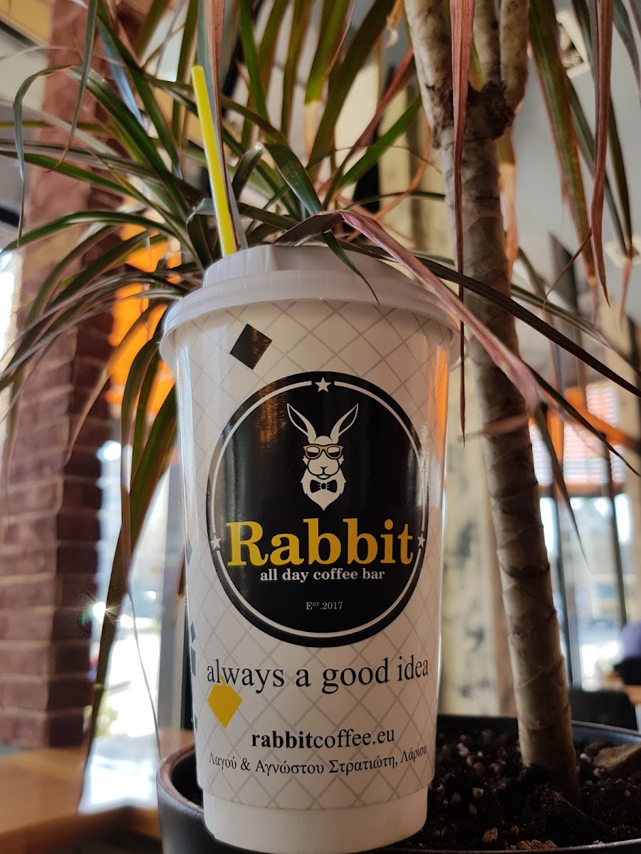 Rabbit All Day Coffee Bar - 2