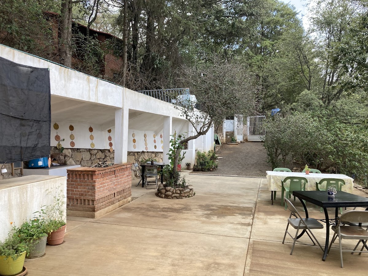 Café Chuin Barra Nutritiva