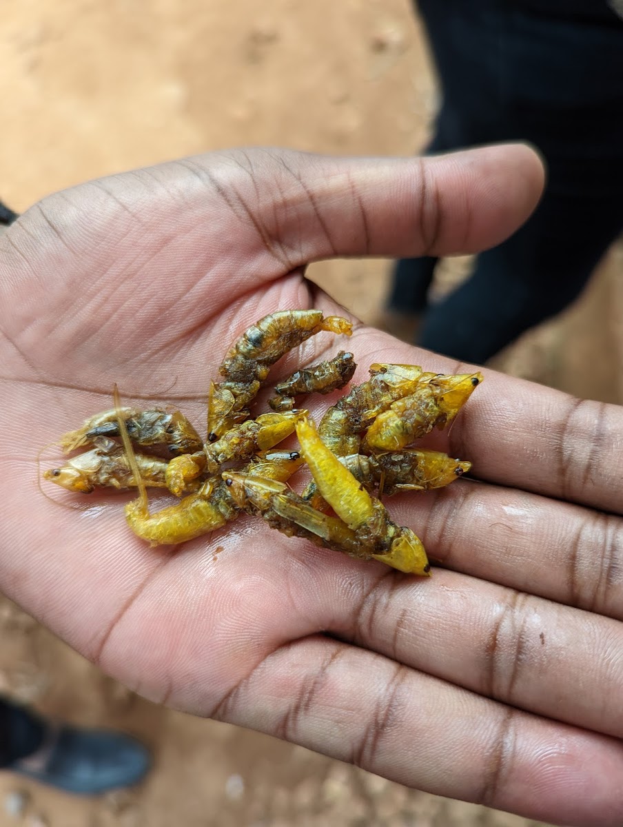 ELCT Vijana Cafe - 6