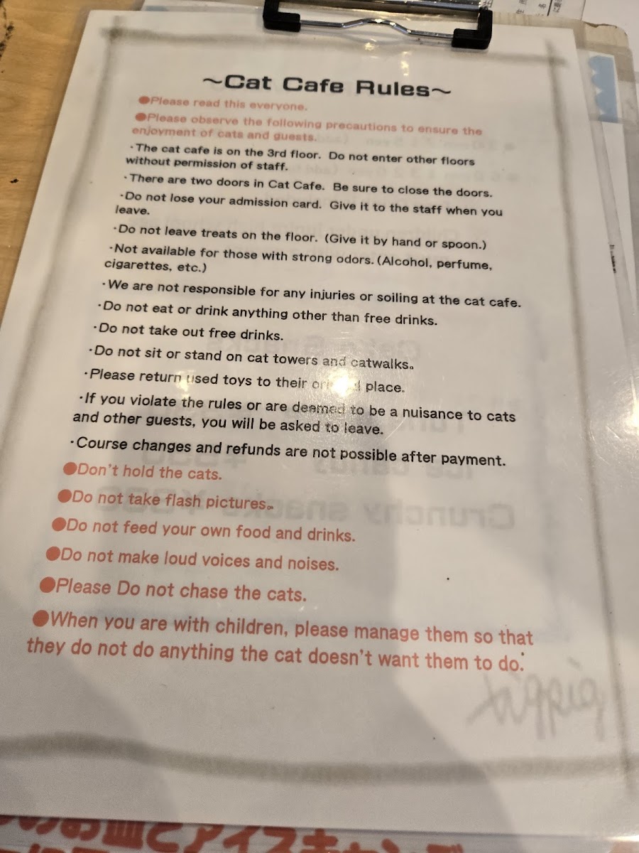 Coo and Riku petshop/cat cafe 2nd floor - 3