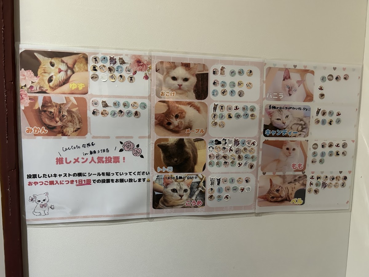 Coo and Riku petshop/cat cafe 2nd floor - 4