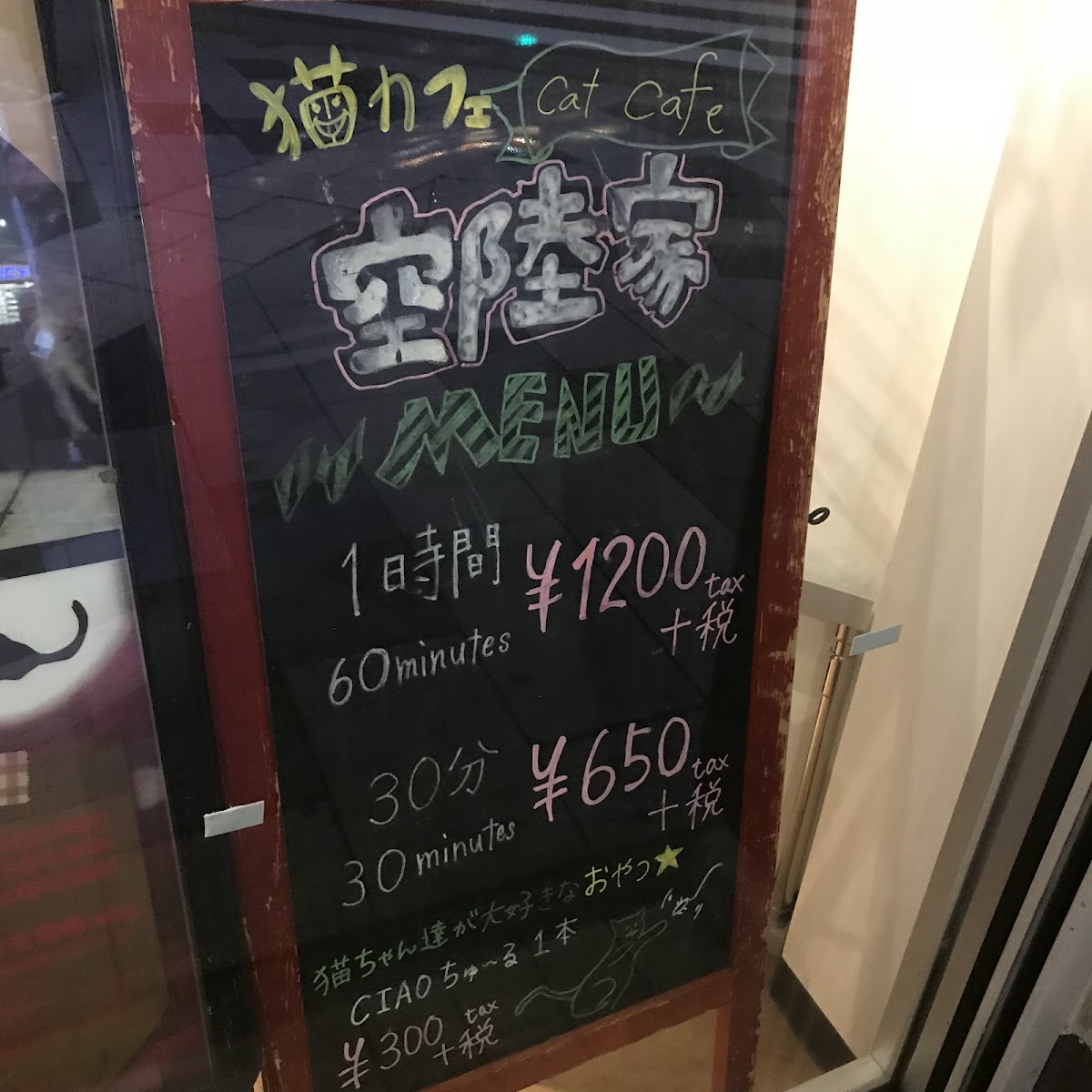 Coo and Riku petshop/cat cafe 2nd floor - 5