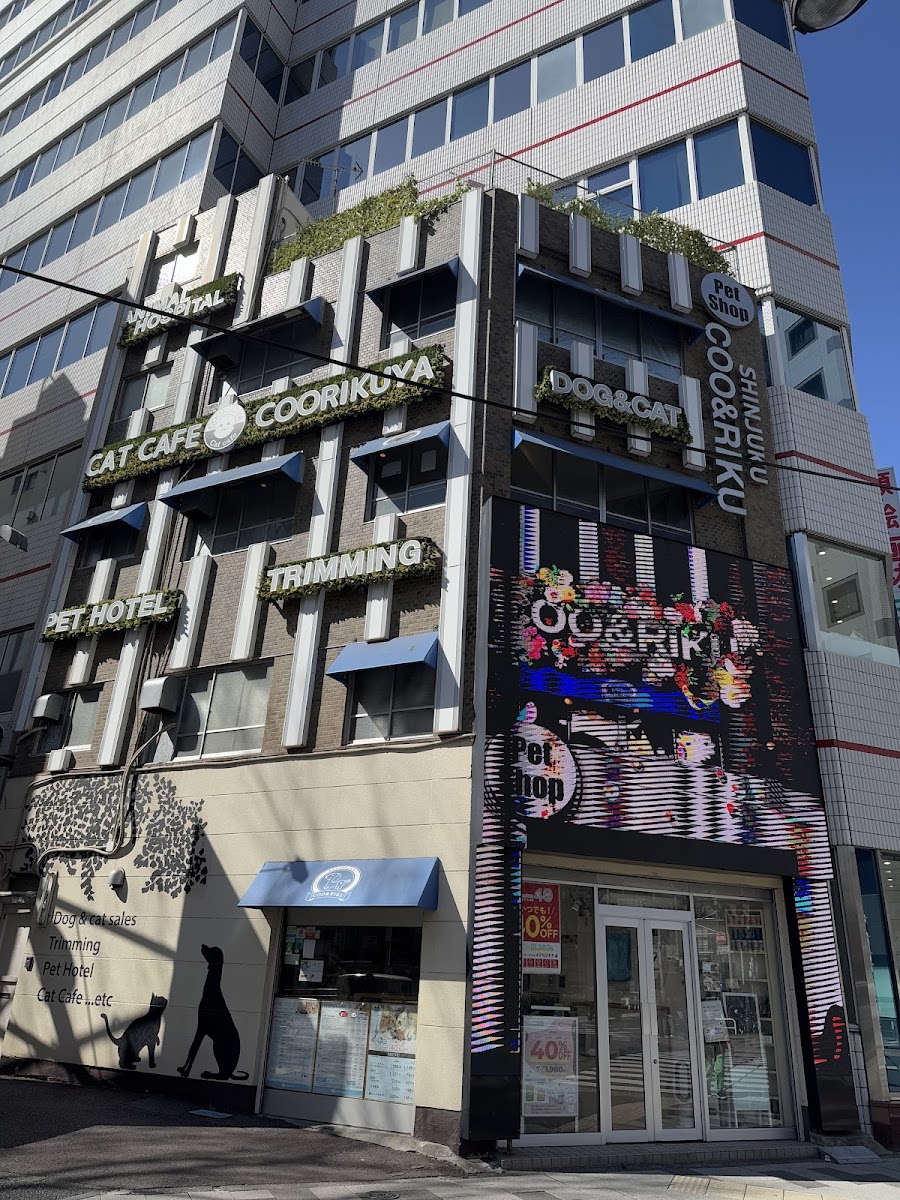 Coo and Riku petshop/cat cafe 2nd floor - 3