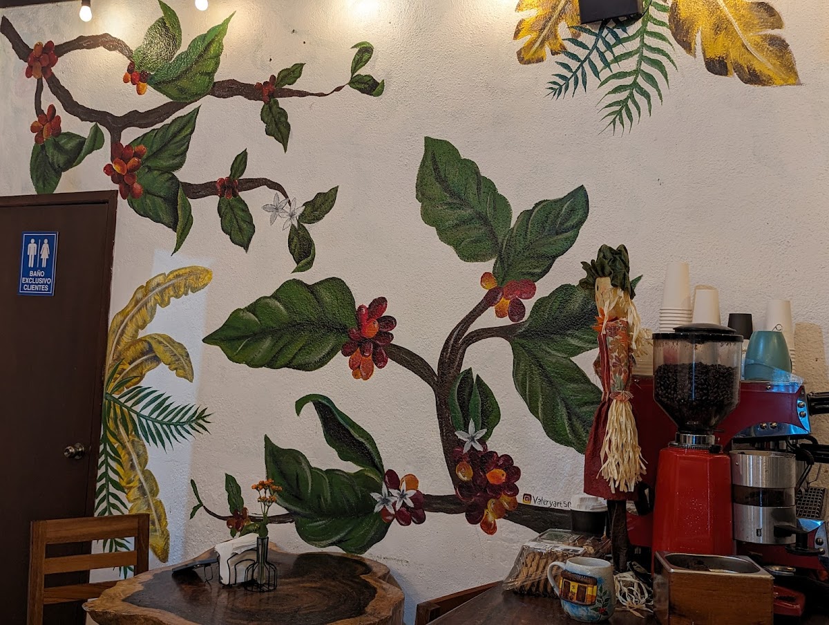 Café Plaza el Tuito - 4