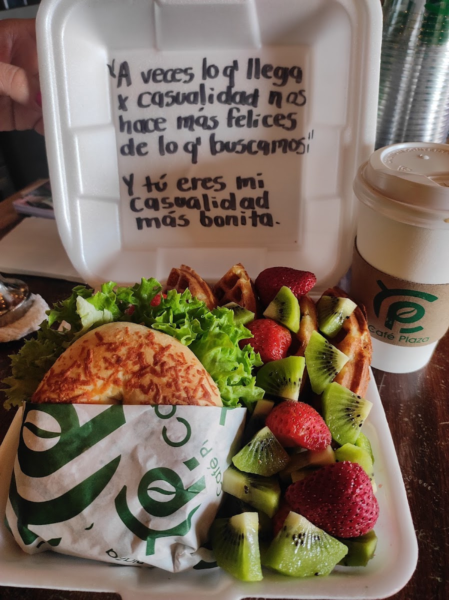 Café Plaza el Tuito - 8