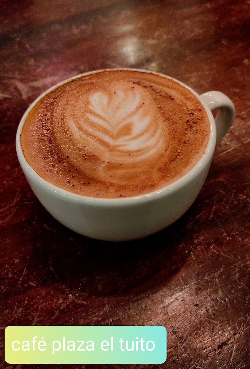 Café Plaza el Tuito - 9