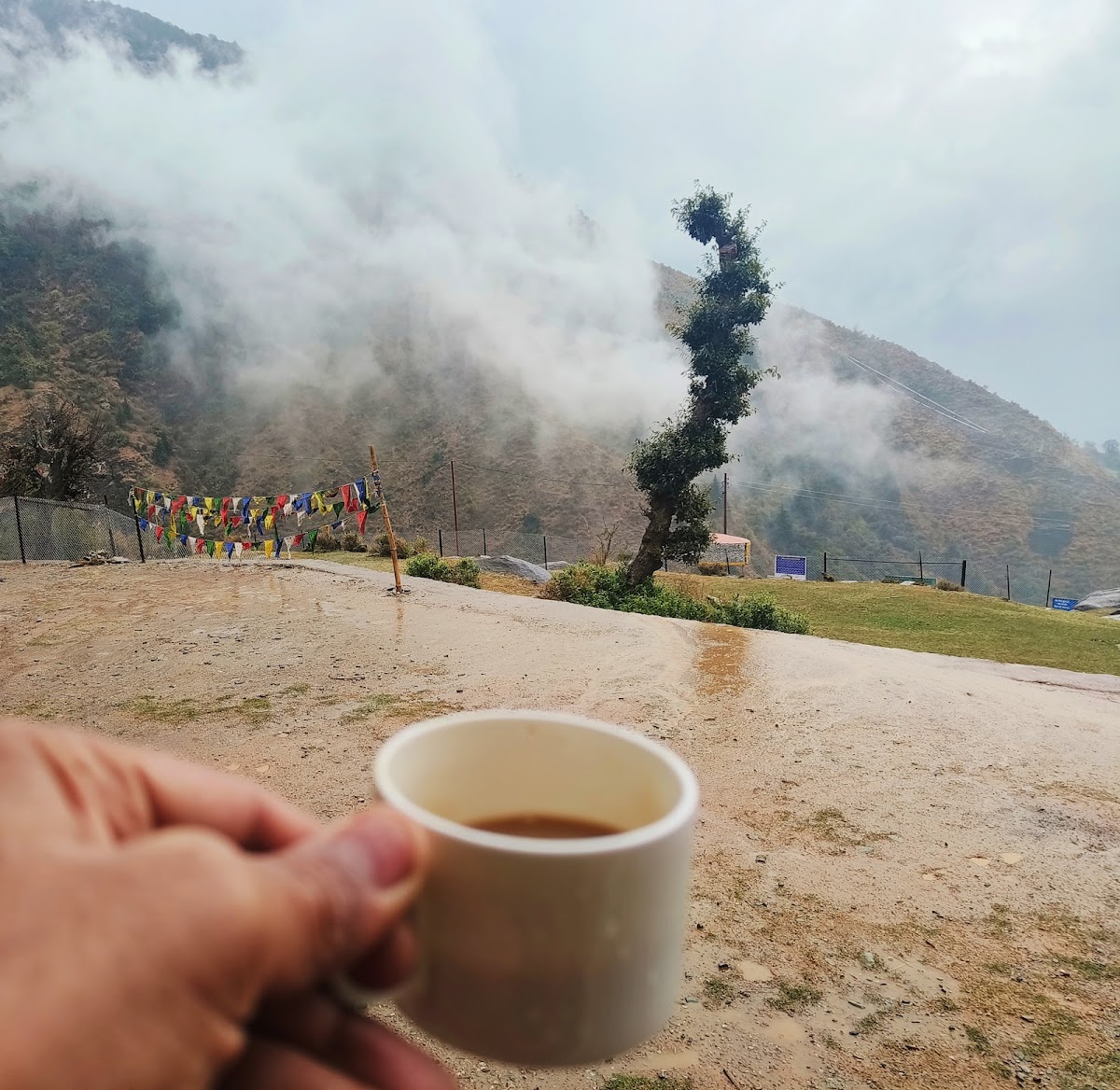 Shiva dhuru cafe - 6