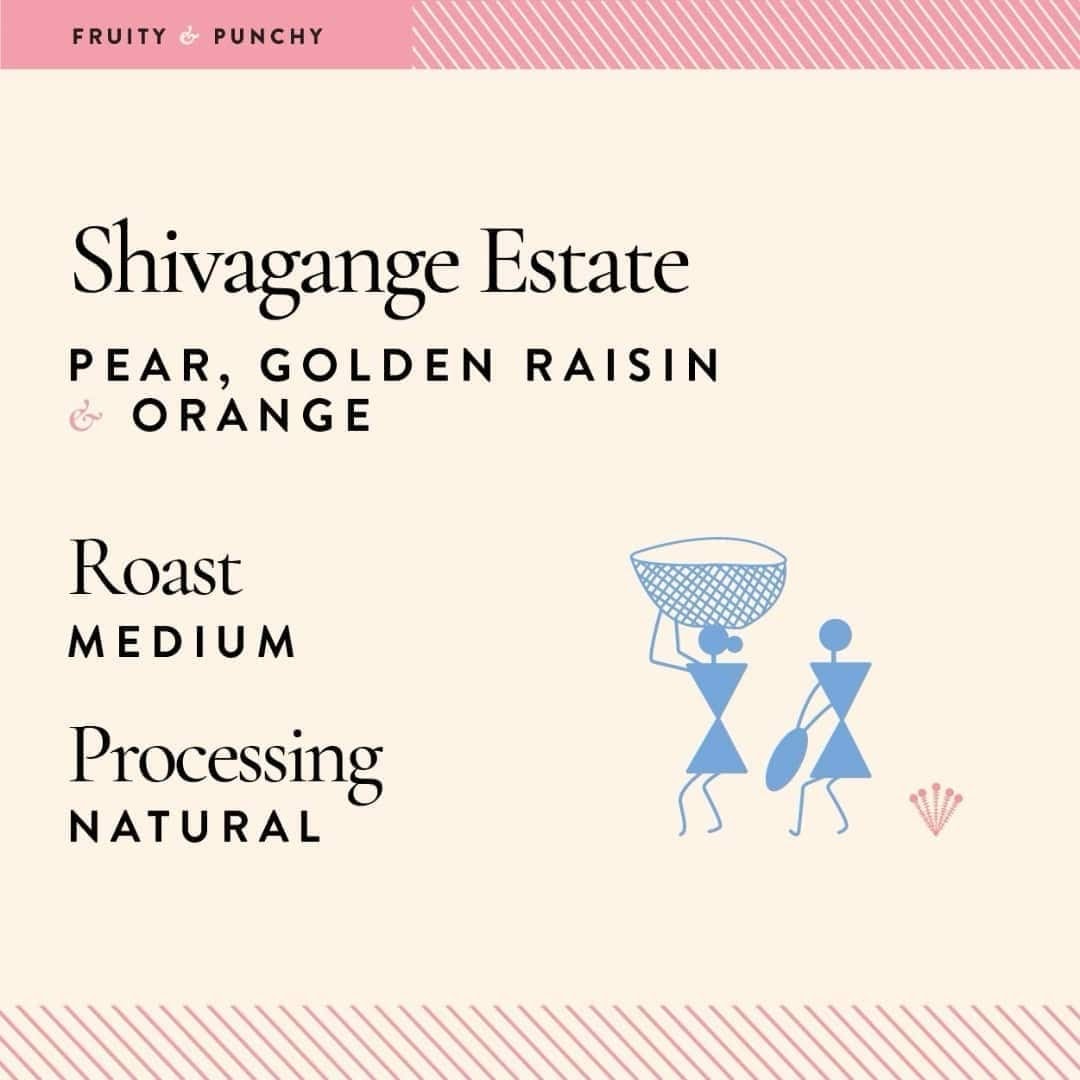 Blue Tokai Coffee Roasters | Good Earth Sixty 9 - 3