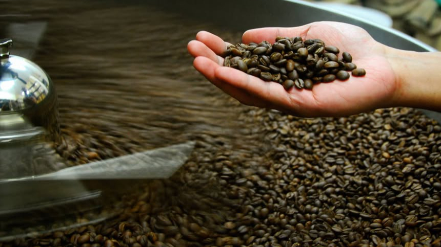 Blue Tokai Coffee Roasters | Good Earth Sixty 9 - 4