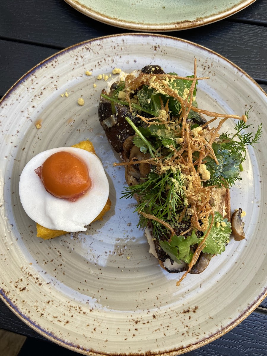 Autumn Leaves Melbourne - 10